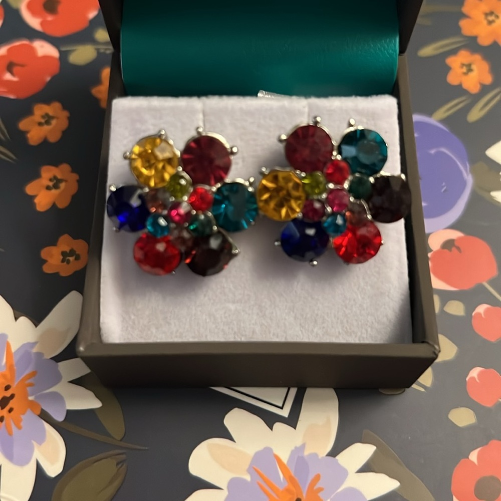 Gorgeous multicoloured earrings